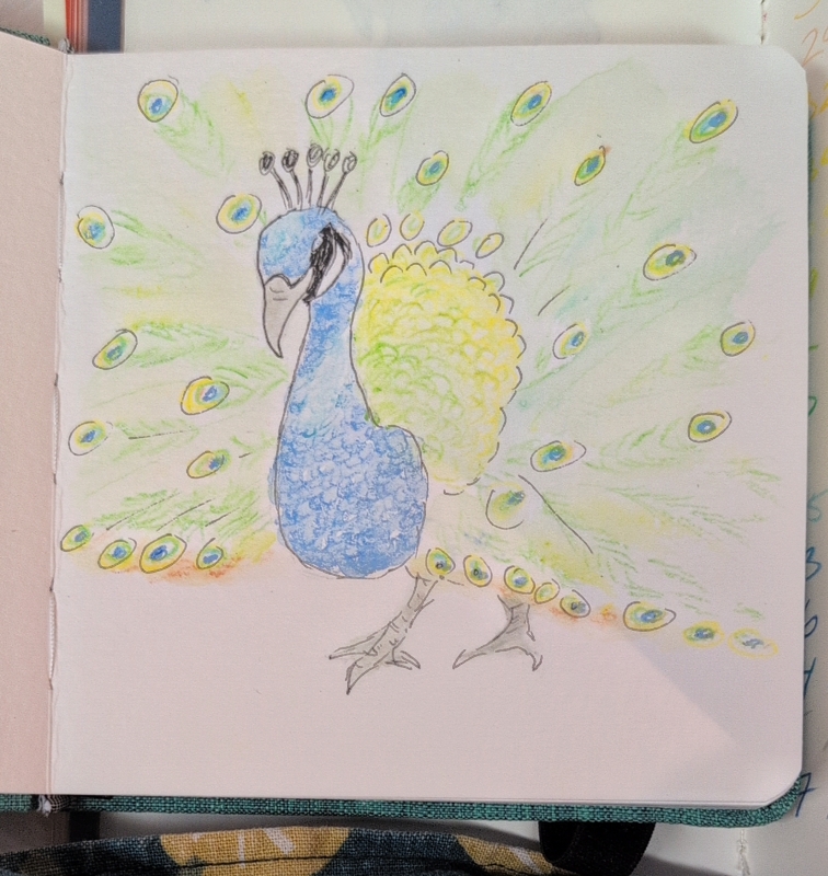Small watercolour painting of a peacock at the Toronto Zoo.