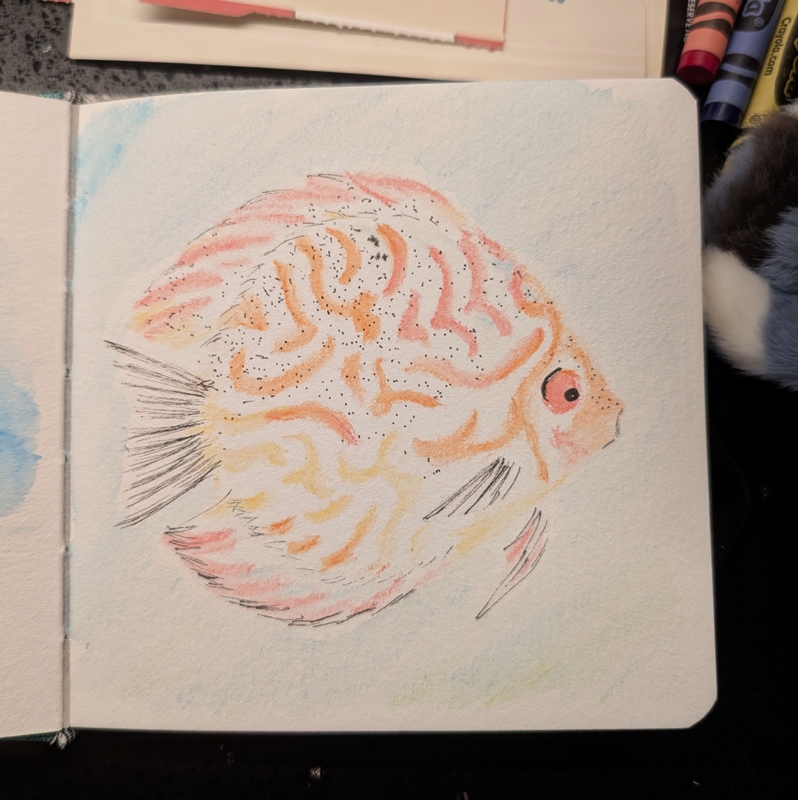 A painting of the same bright orange fish with interesting markings.