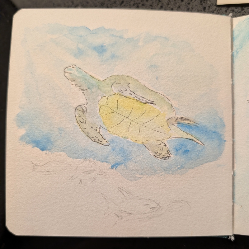 Hotel watercolour painting of the sea turtle in the Toronto aquarium.