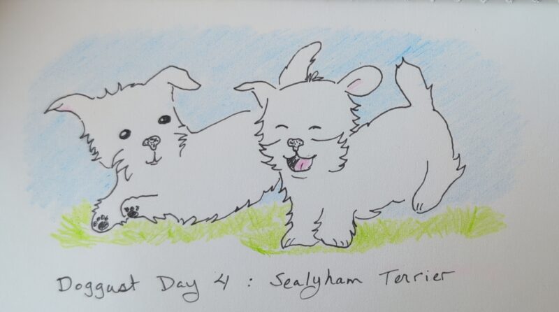 A pair of Sealyham Terrirers for Doggust Day 4. They're little white dogs drawn cartoon style, frolicking in the grass.