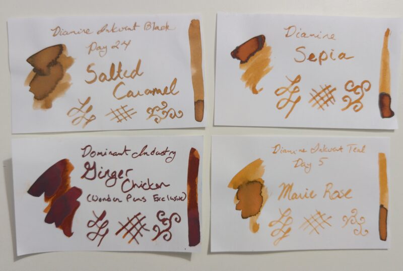 Four ink swatches: Diamine Salted Carmel (from inkvent 2024), Diamine Sepia, Dominant Industry Ginger Chicken, and Diamine Rose Marie (from inkvent 2025)